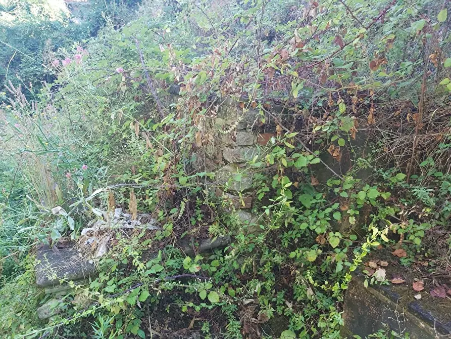 Immagine 52 di Casa semindipendente in vendita  a Carrara