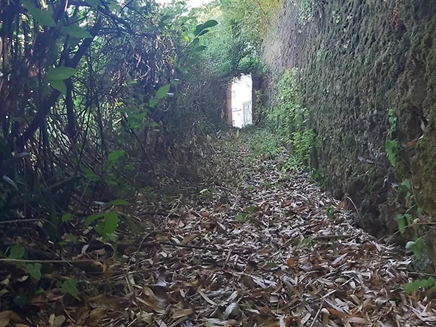 Immagine 14 di Casa semindipendente in vendita  a Carrara