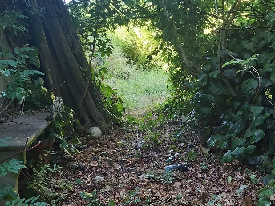 Immagine 61 di Casa semindipendente in vendita  a Carrara