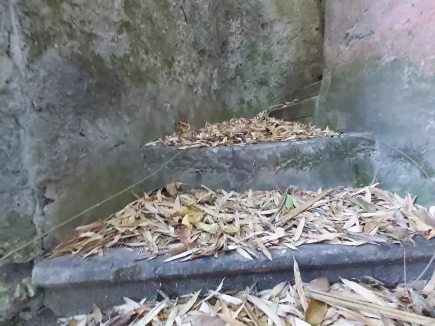 Immagine 19 di Casa semindipendente in vendita  a Carrara