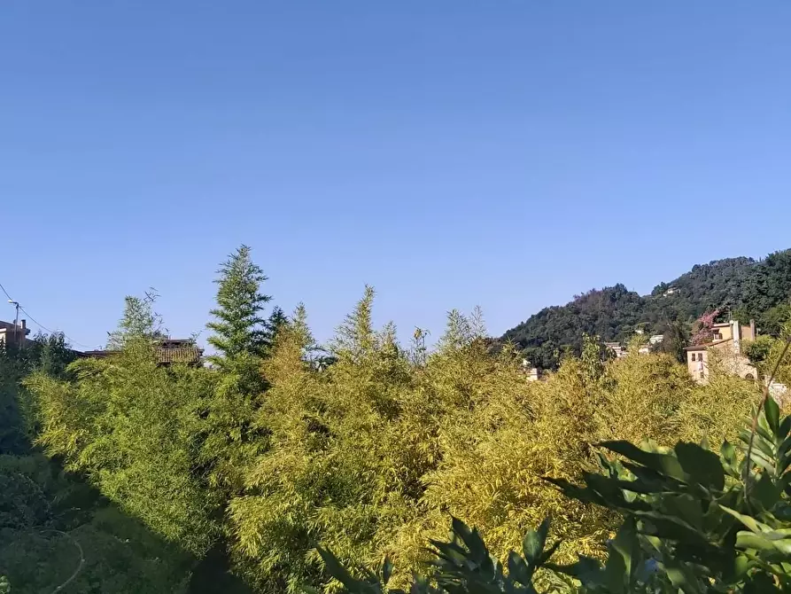 Immagine 64 di Casa semindipendente in vendita  a Carrara