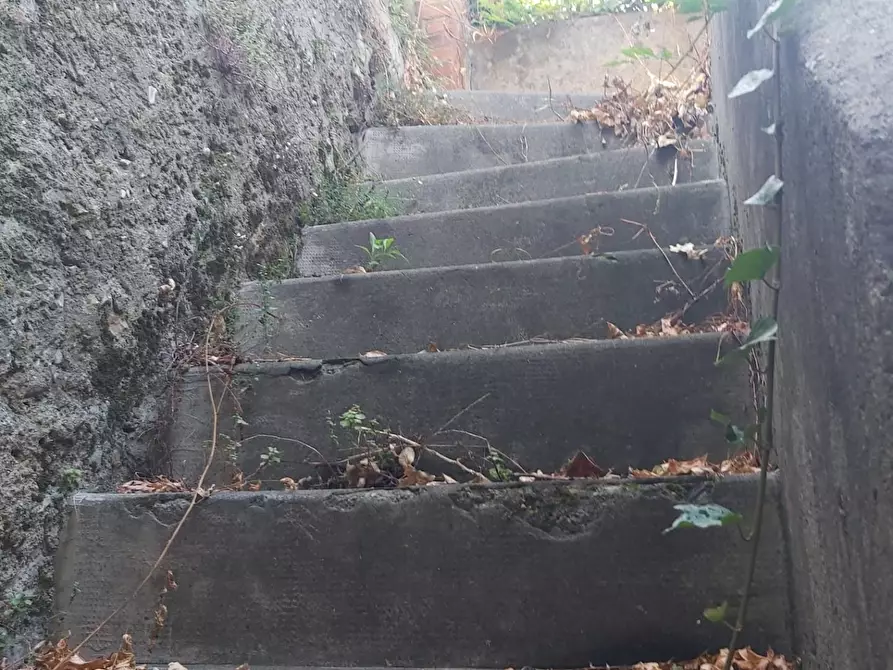 Immagine 69 di Casa semindipendente in vendita  a Carrara