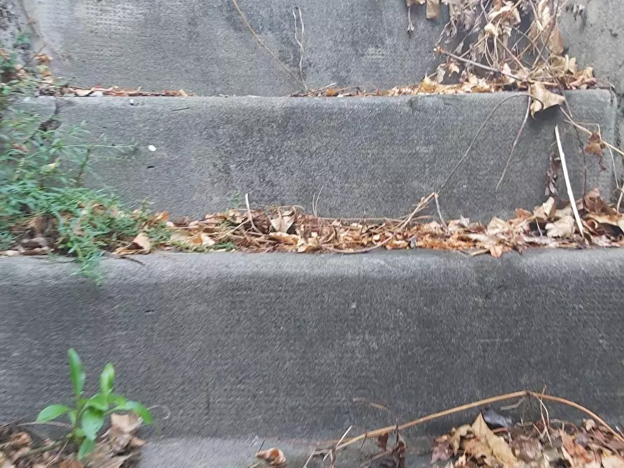 Immagine 33 di Casa semindipendente in vendita  a Carrara