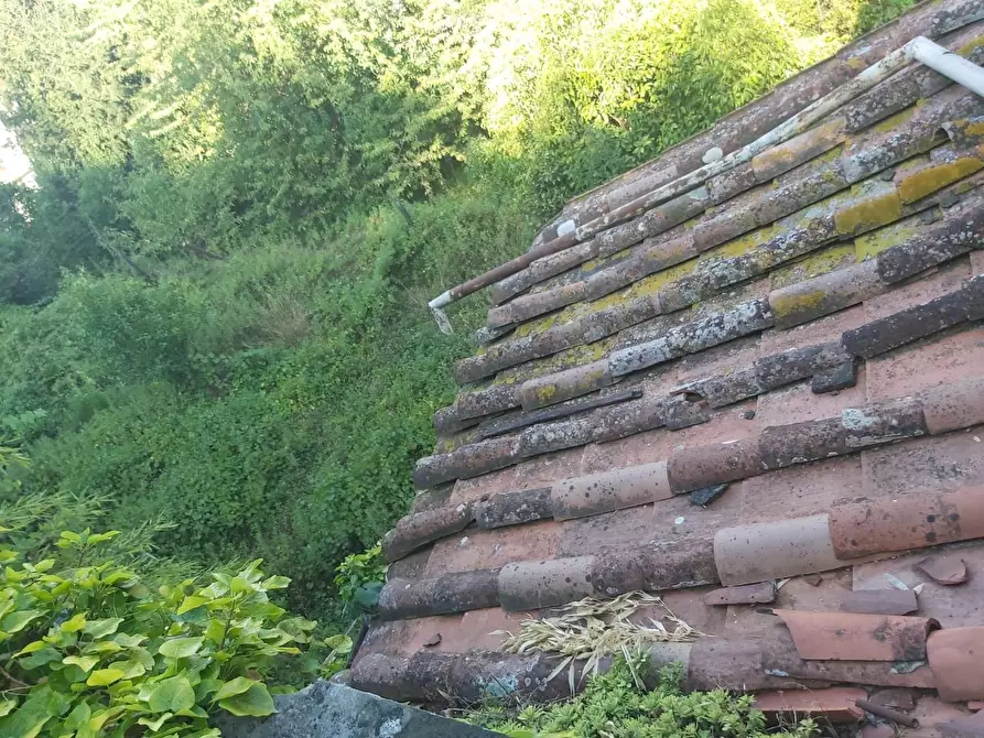 Immagine 8 di Casa semindipendente in vendita  a Carrara