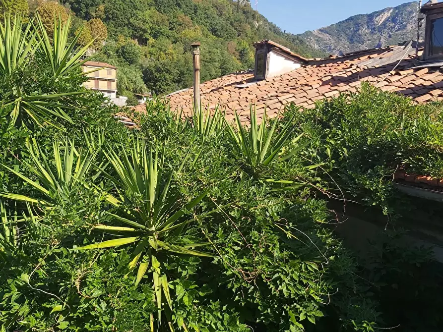 Immagine 90 di Casa semindipendente in vendita  a Carrara