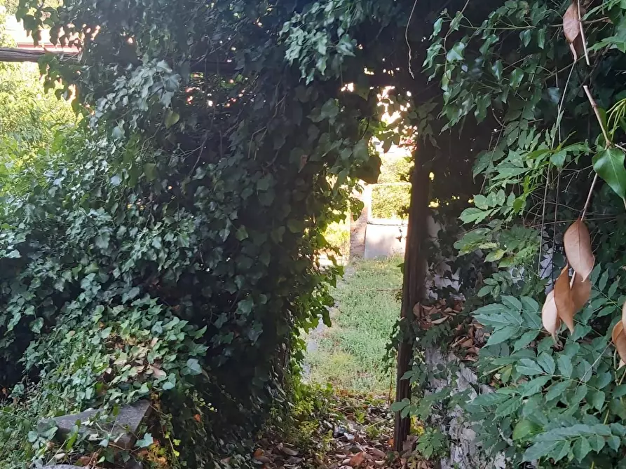 Immagine 48 di Casa semindipendente in vendita  a Carrara