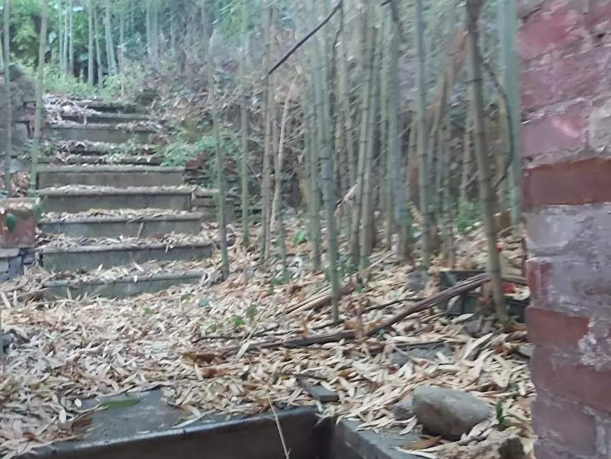 Immagine 45 di Casa semindipendente in vendita  a Carrara