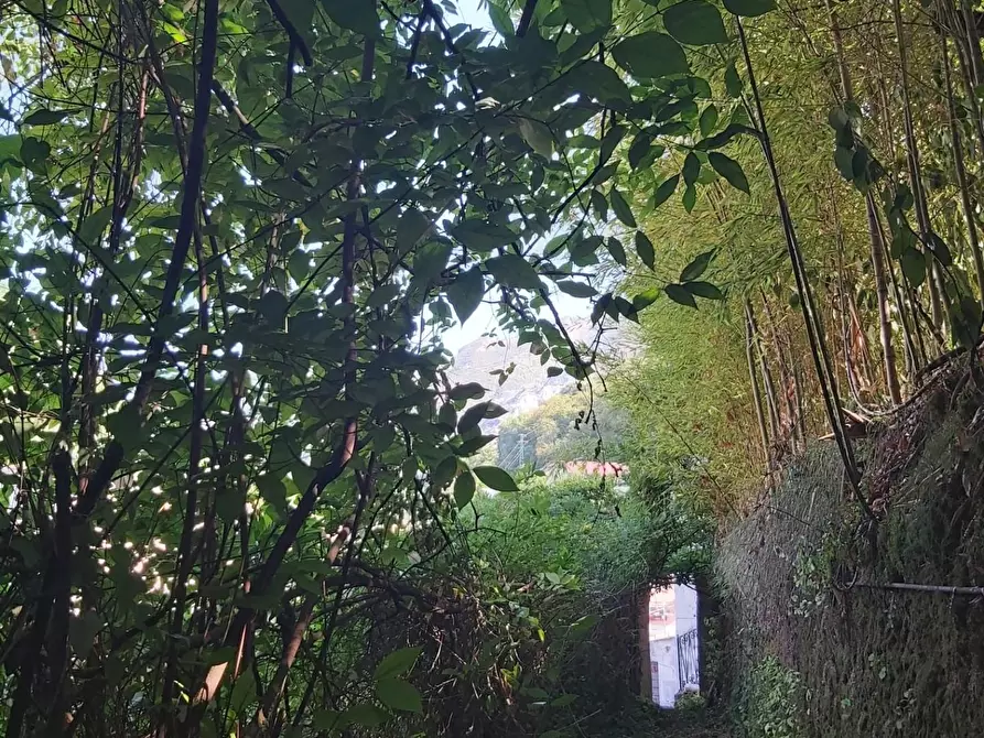 Immagine 27 di Casa semindipendente in vendita  a Carrara