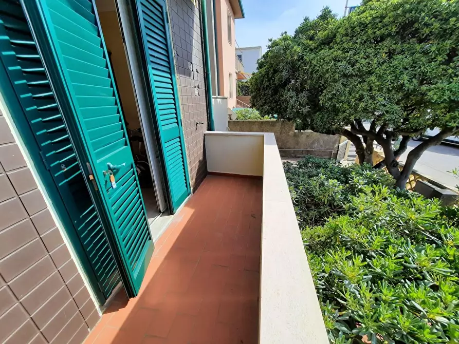 Immagine 3 di Appartamento in vendita  a Rosignano Marittimo