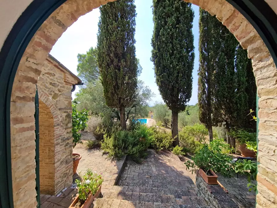 Immagine 40 di Casa colonica in vendita  a Guardistallo