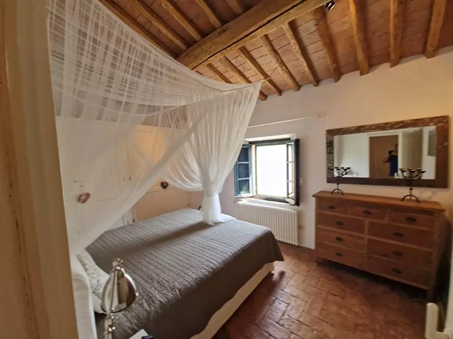 Immagine 43 di Casa colonica in vendita  a Guardistallo