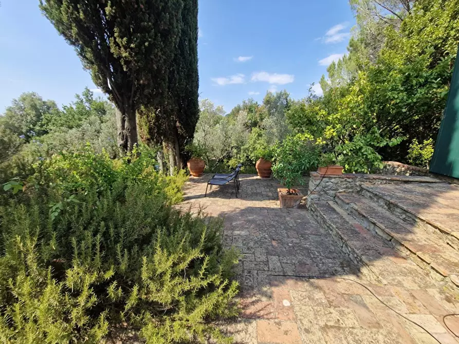 Immagine 31 di Casa colonica in vendita  a Guardistallo