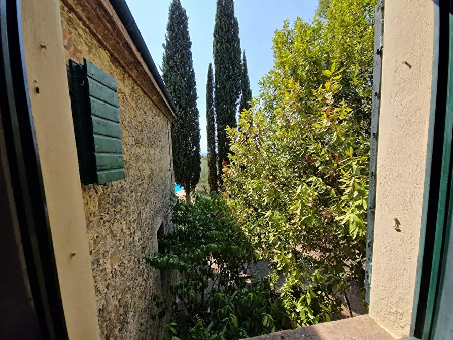 Immagine 47 di Casa colonica in vendita  a Guardistallo