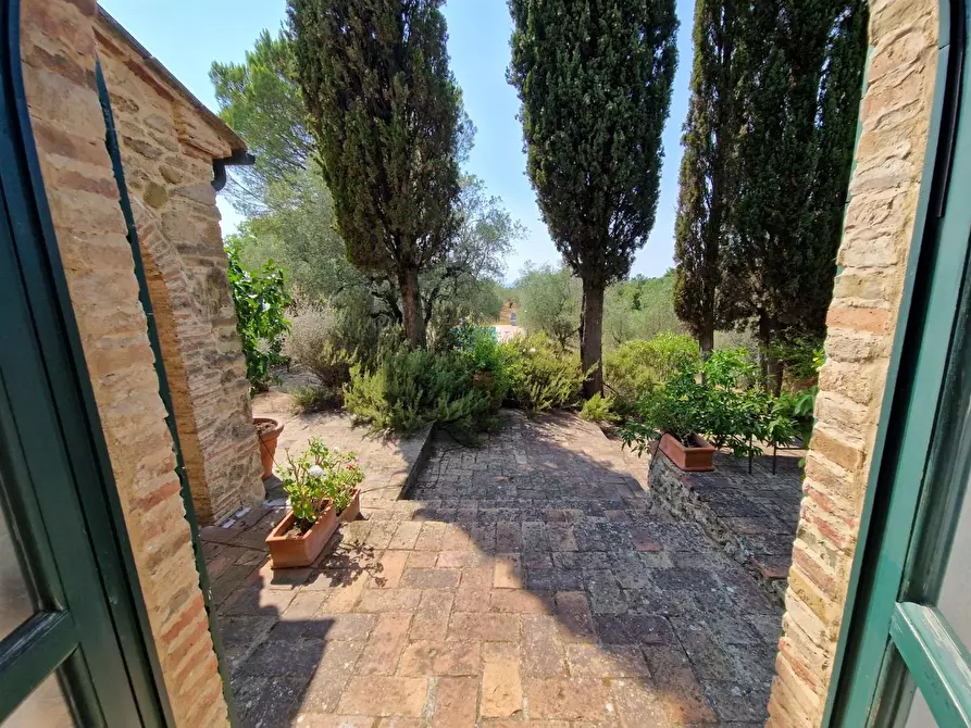 Immagine 39 di Casa colonica in vendita  a Guardistallo