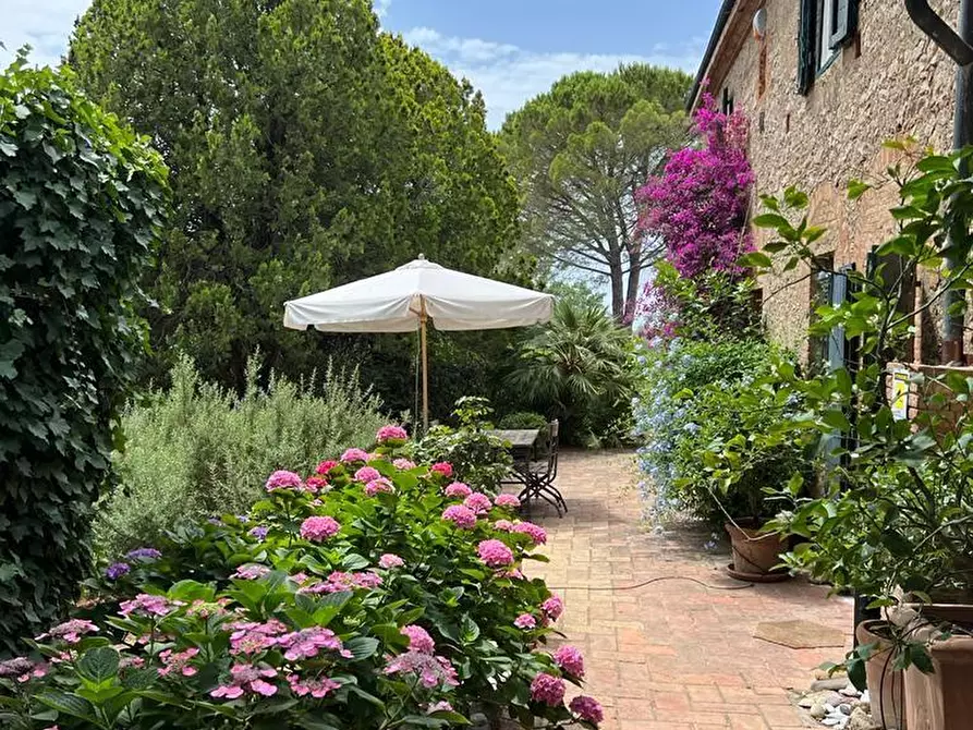 Immagine 3 di Casa colonica in vendita  a Guardistallo