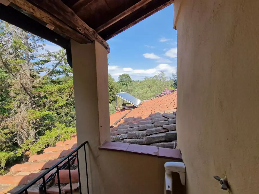 Immagine 44 di Casa colonica in vendita  a Guardistallo