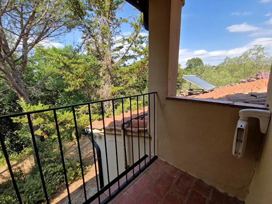 Immagine 45 di Casa colonica in vendita  a Guardistallo