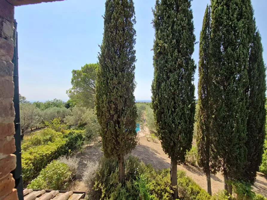 Immagine 42 di Casa colonica in vendita  a Guardistallo