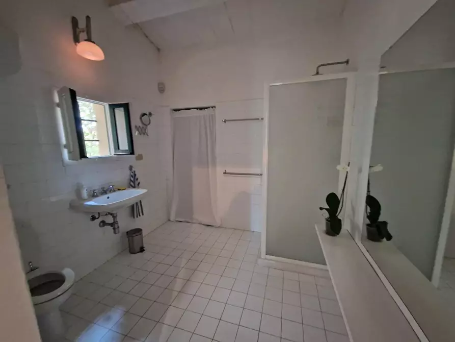 Immagine 38 di Casa colonica in vendita  a Guardistallo