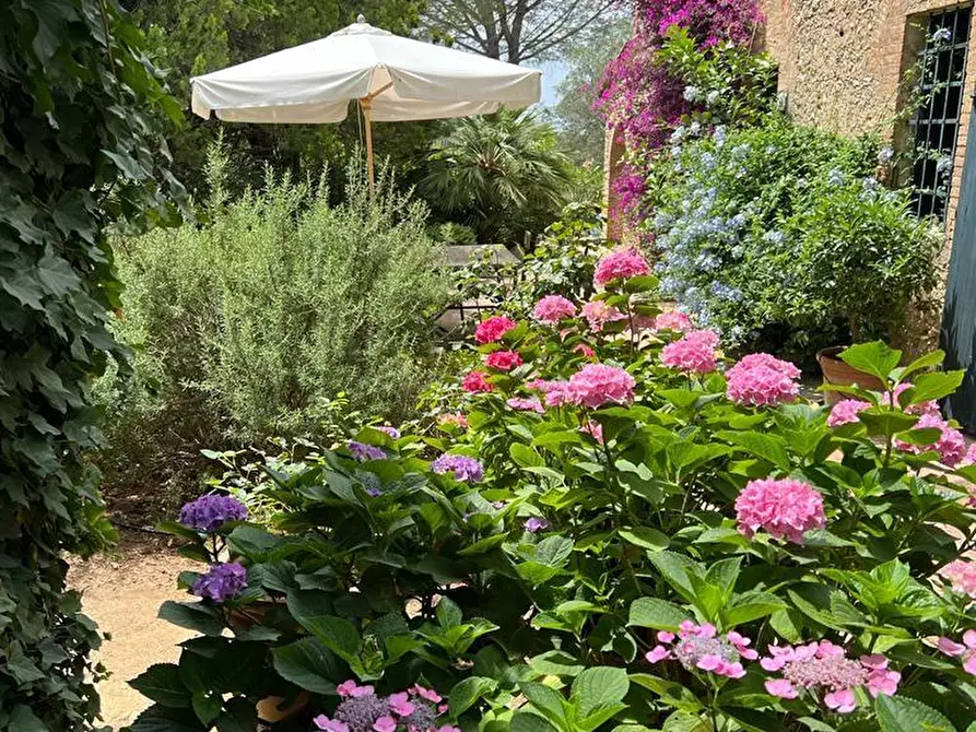 Immagine 4 di Casa colonica in vendita  a Guardistallo