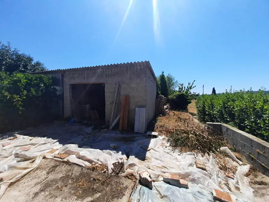 Immagine 6 di Terratetto in vendita  a Pescia