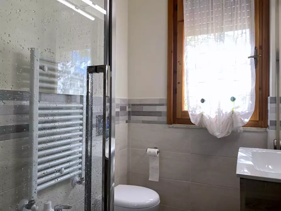 Immagine 17 di Appartamento in affitto  a Camaiore