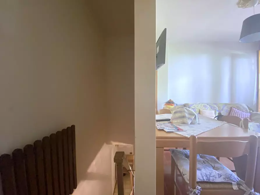 Immagine 22 di Appartamento in affitto  a Camaiore