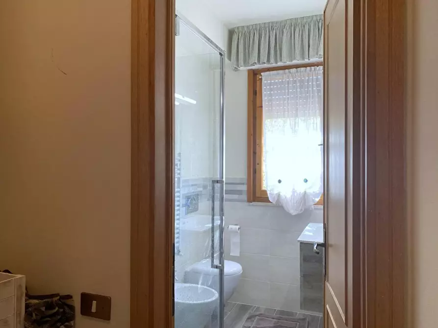 Immagine 15 di Appartamento in affitto  a Camaiore