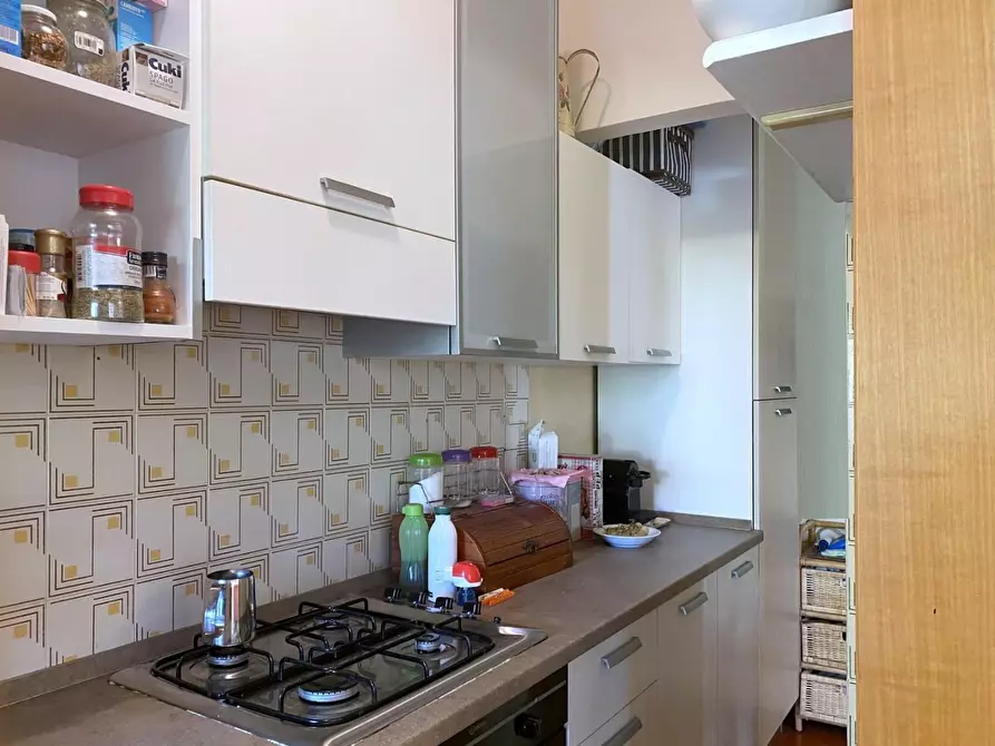 Immagine 6 di Appartamento in affitto  a Camaiore