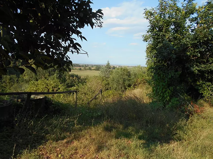 Immagine 10 di Casa colonica in vendita  a Collesalvetti