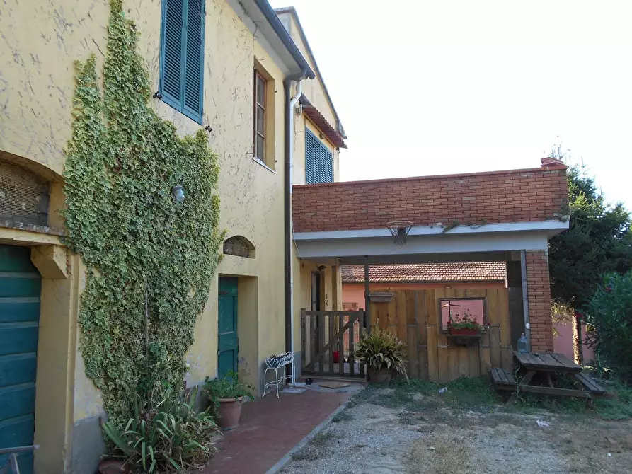 Immagine 9 di Casa colonica in vendita  a Collesalvetti