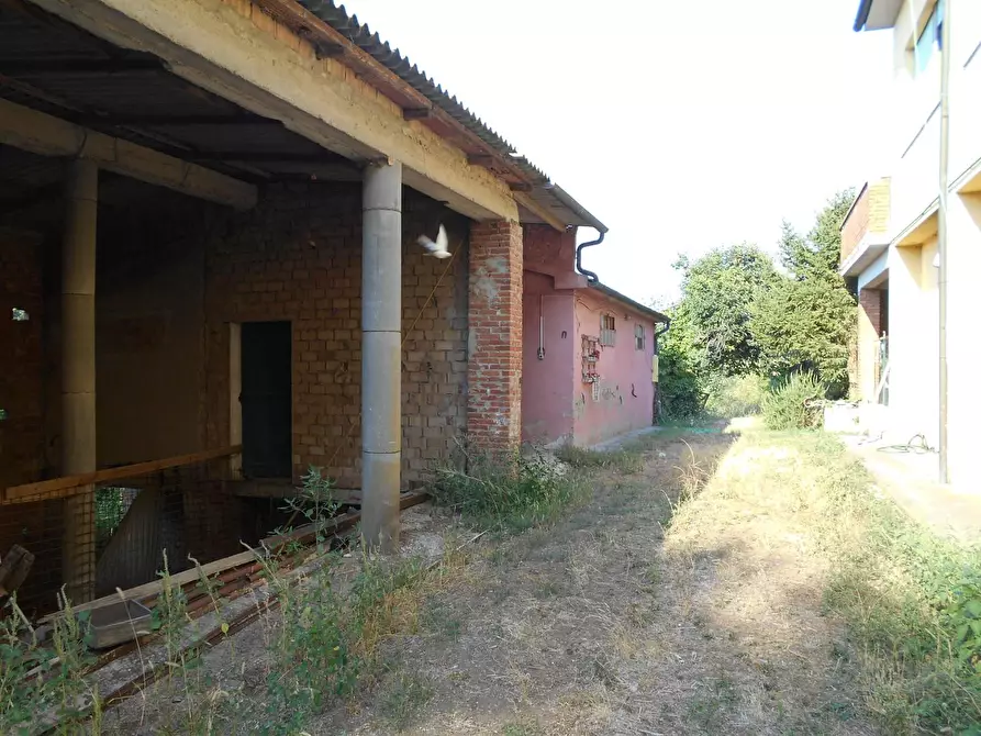 Immagine 13 di Casa colonica in vendita  a Collesalvetti