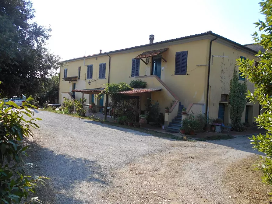 Immagine 3 di Casa colonica in vendita  a Collesalvetti