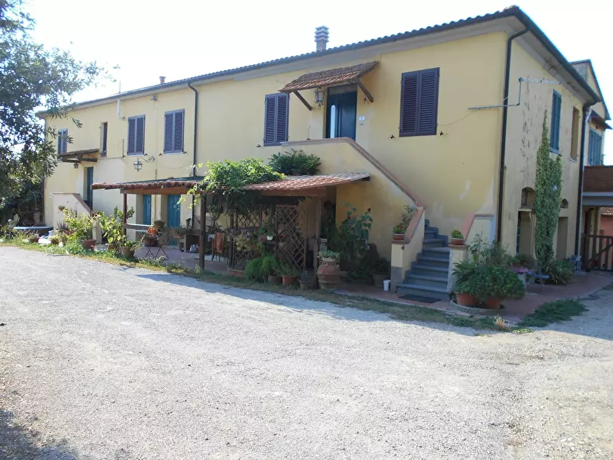 Immagine 4 di Casa colonica in vendita  a Collesalvetti