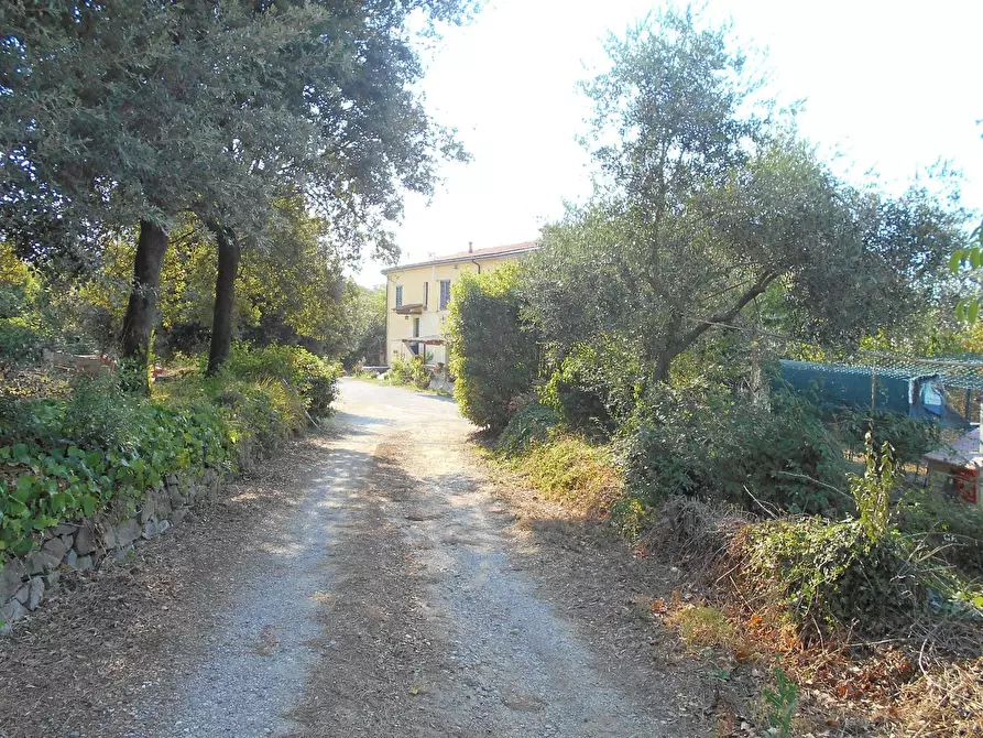 Immagine 2 di Casa colonica in vendita  a Collesalvetti