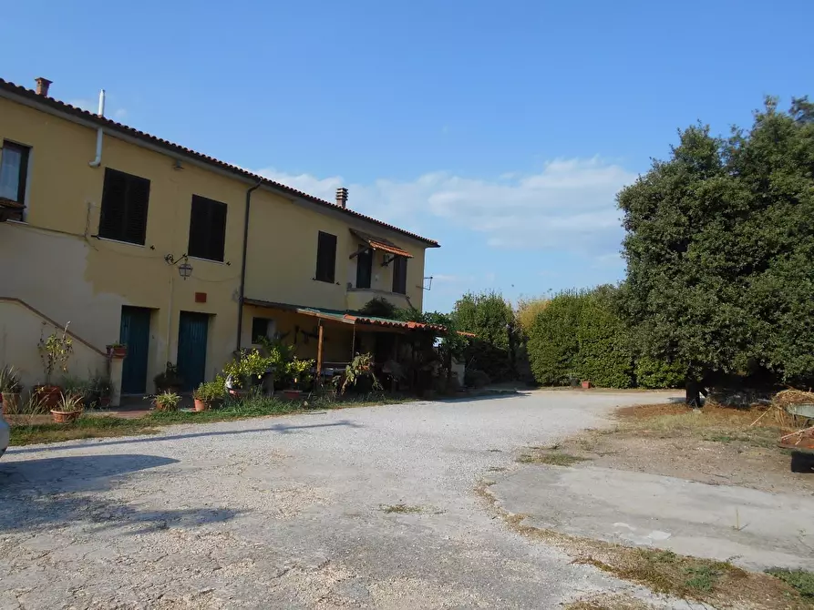 Immagine 5 di Casa colonica in vendita  a Collesalvetti