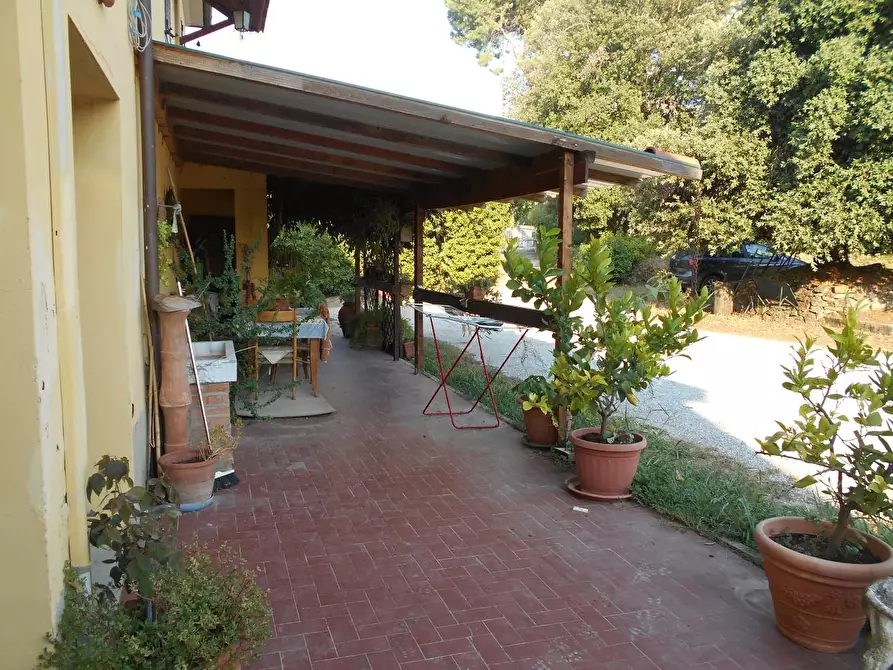 Immagine 11 di Casa colonica in vendita  a Collesalvetti