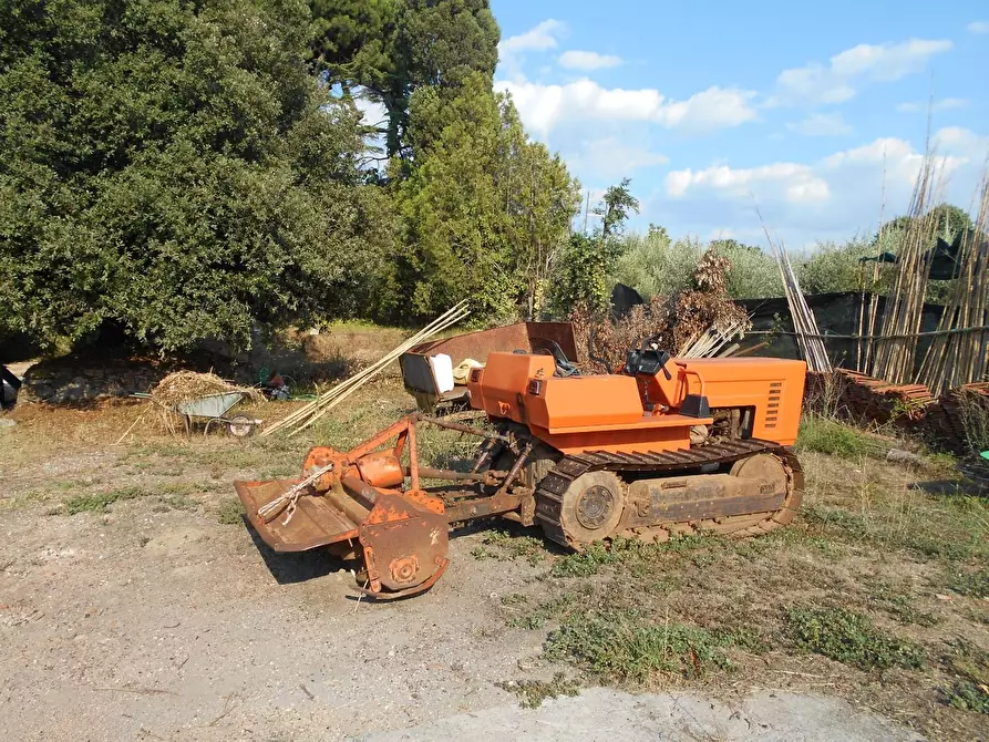 Immagine 6 di Casa colonica in vendita  a Collesalvetti