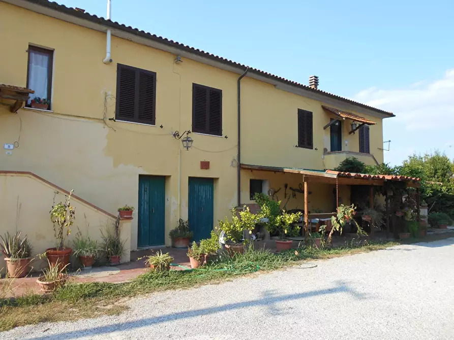 Immagine 8 di Casa colonica in vendita  a Collesalvetti