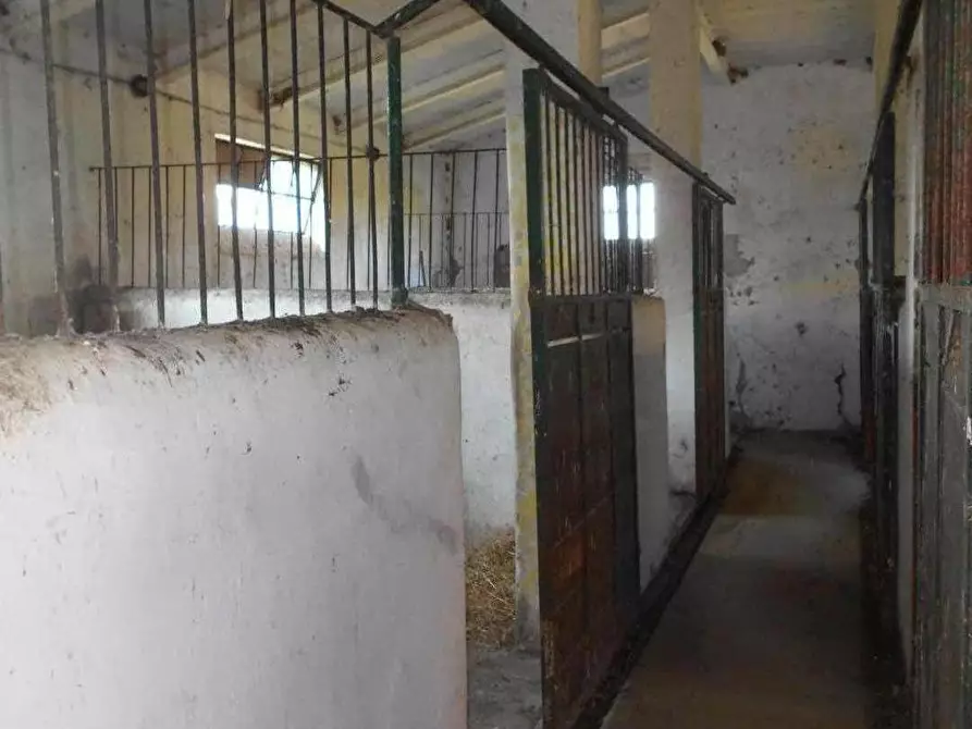 Immagine 12 di Casa colonica in vendita  a Collesalvetti