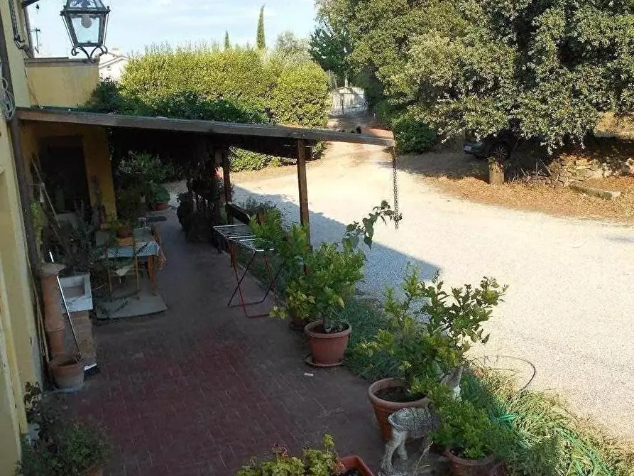 Immagine 14 di Casa colonica in vendita  a Collesalvetti