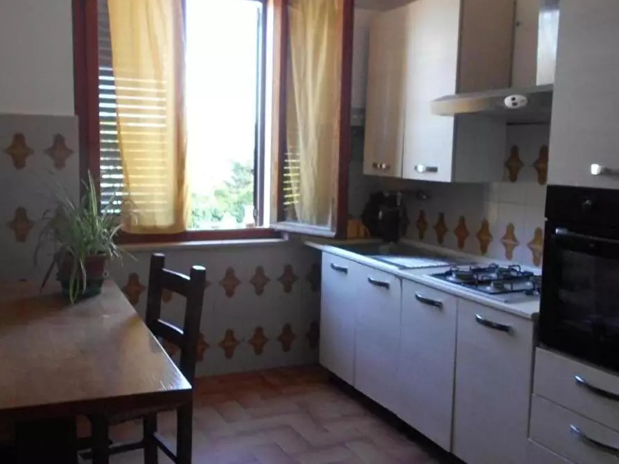 Immagine 15 di Casa colonica in vendita  a Collesalvetti