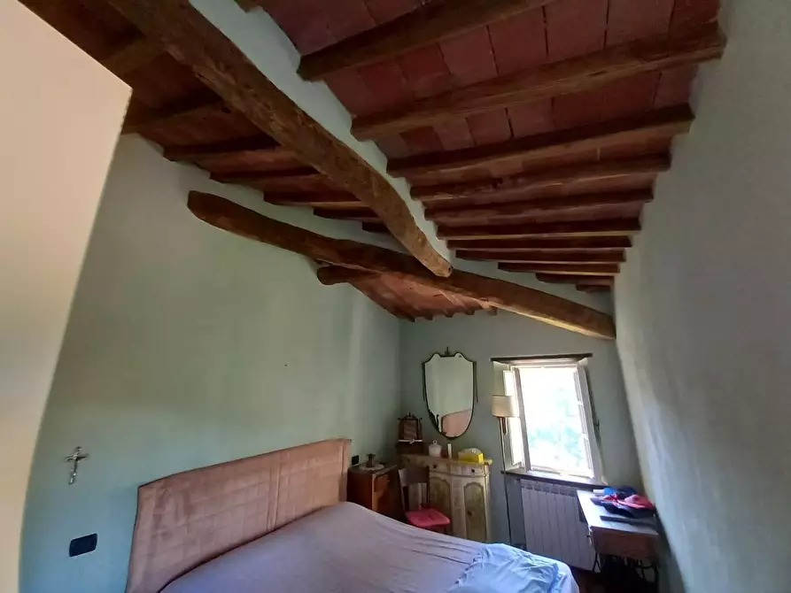 Immagine 11 di Terratetto in vendita  a Lucca