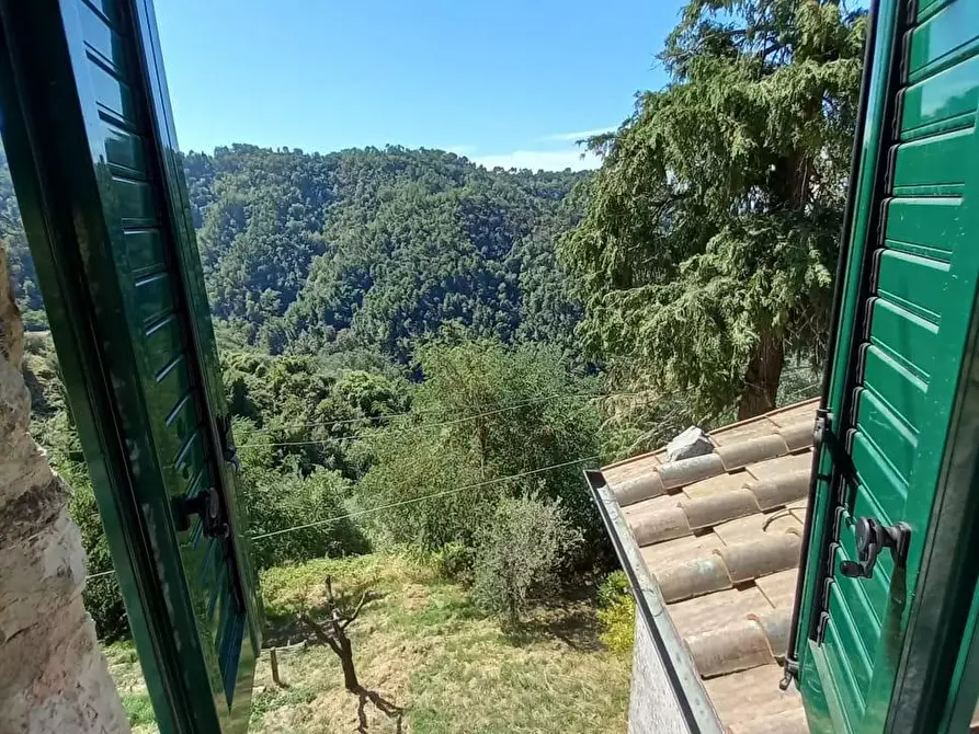 Immagine 3 di Terratetto in vendita  a Lucca