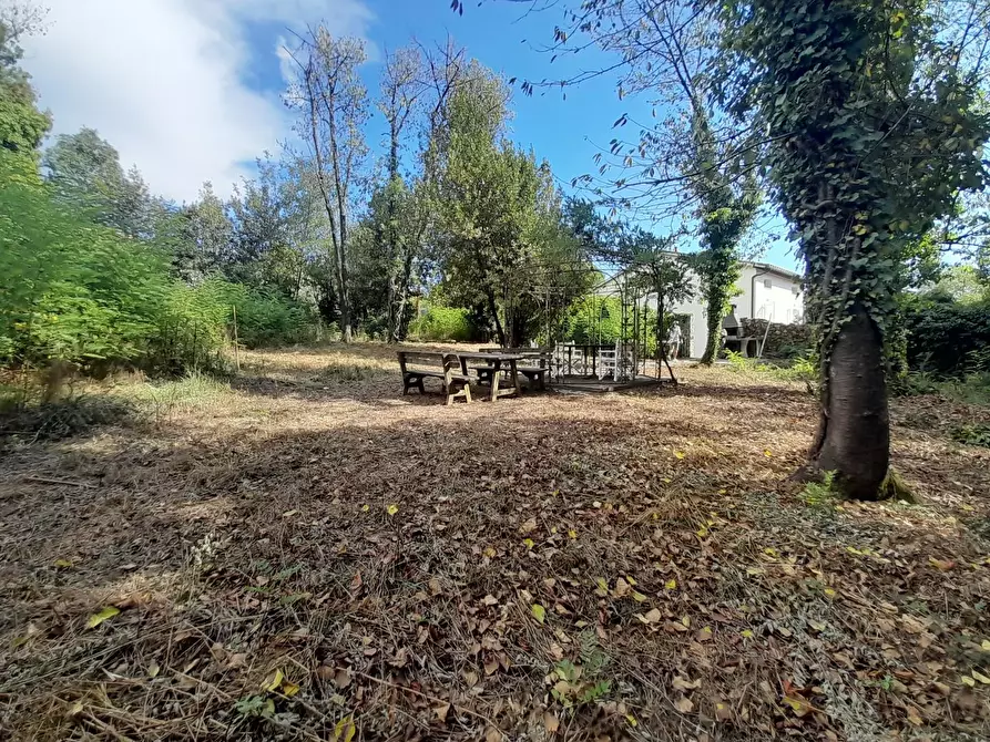 Immagine 6 di Villa in vendita  a Lucca