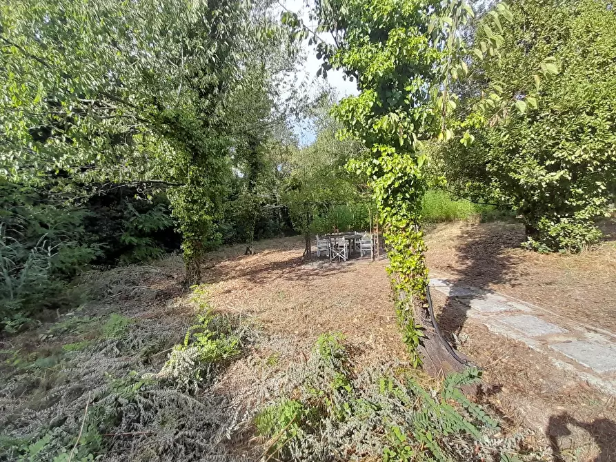 Immagine 70 di Villa in vendita  a Lucca
