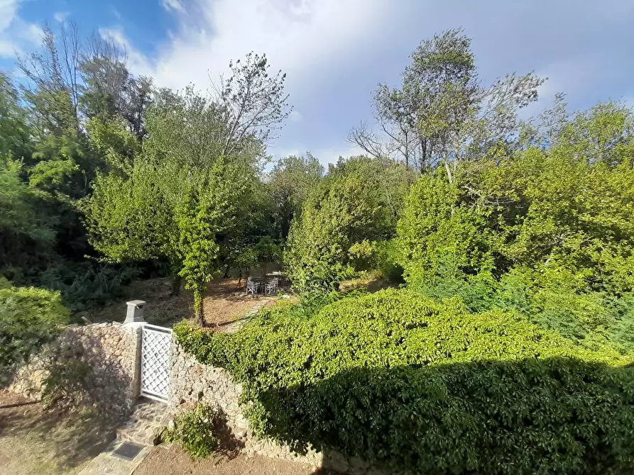 Immagine 47 di Villa in vendita  a Lucca