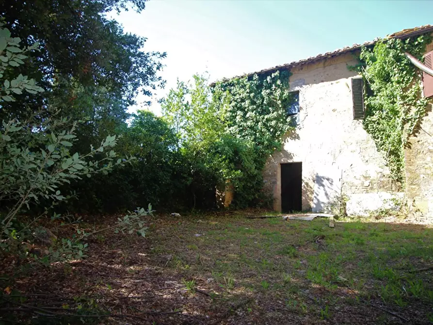 Immagine 2 di Porzione di casa in vendita  a Castelnuovo Berardenga