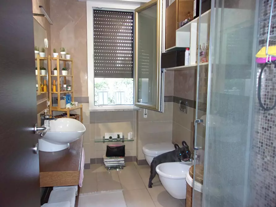 Immagine 18 di Appartamento in vendita  a Massa