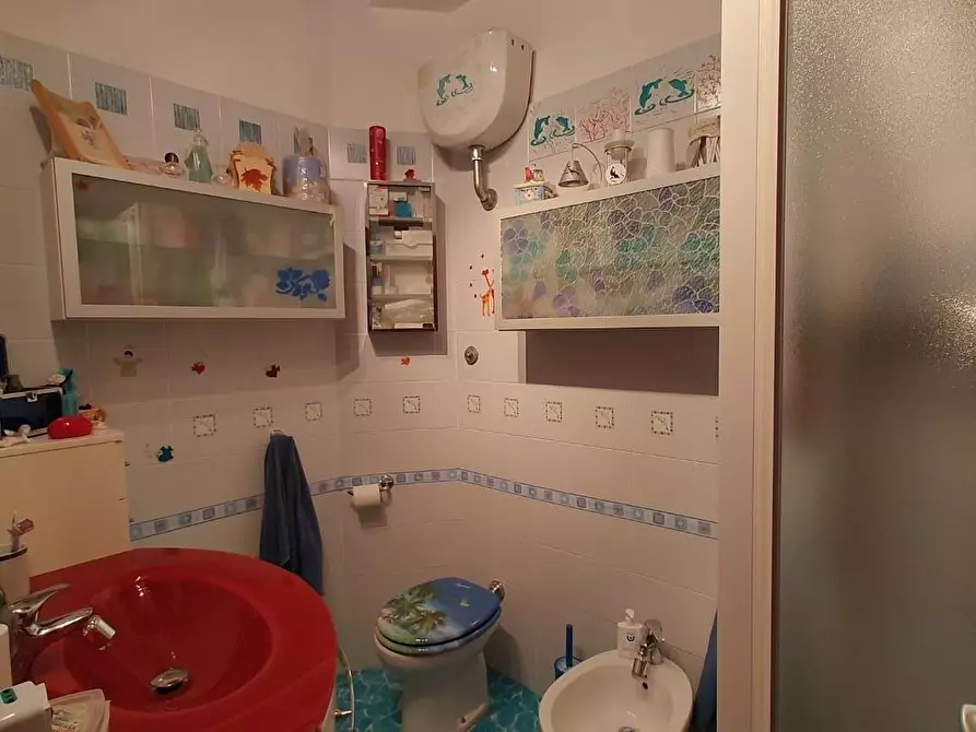 Immagine 7 di Appartamento in vendita  a Crespina Lorenzana